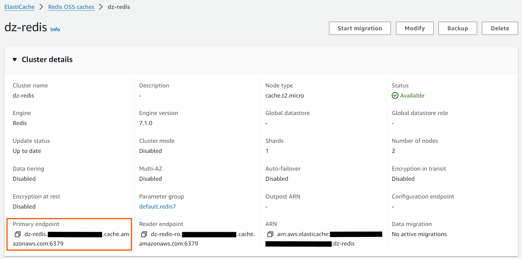 AWS ElastiCache Endpoints