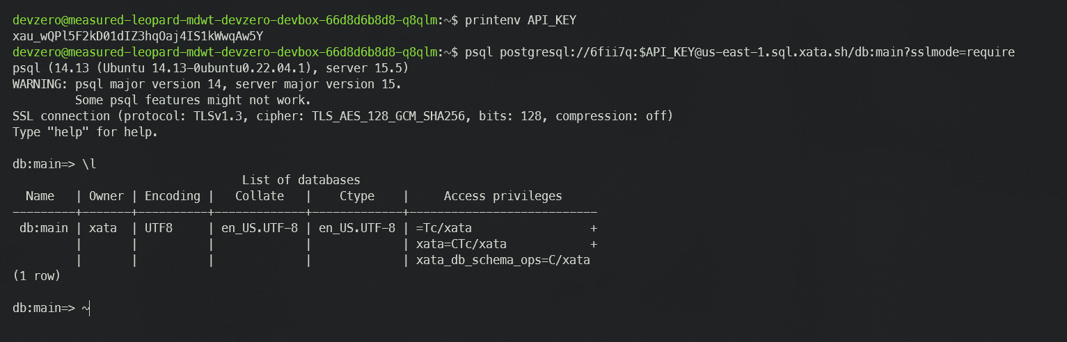 Xata Database Access