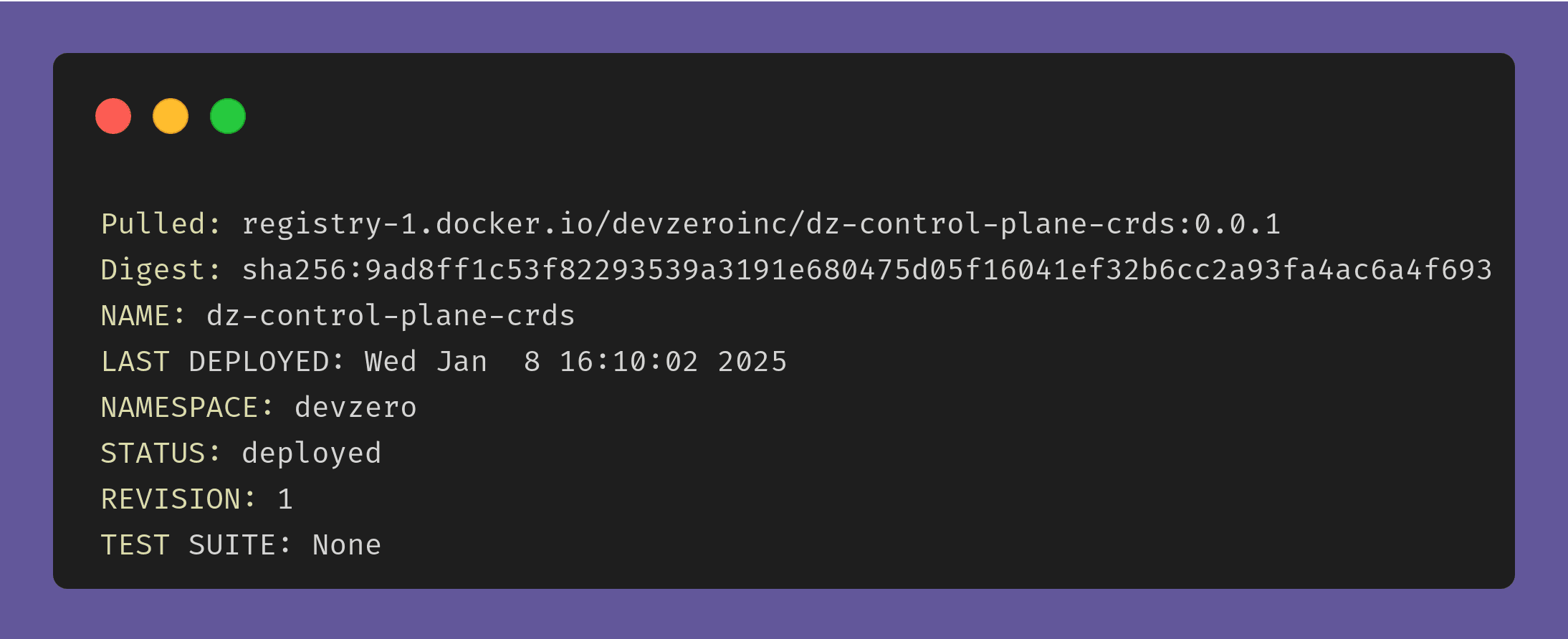 DZ Control Plane CRD output